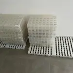 LOTE 000 - PRODUTOS ODONTOLÓGICOS