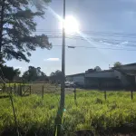 LOTE 001 - 15.000m2 FRENTE BR116 EM GUAIBA - PAVILHÃO E ESTRUTURA PARA  BENEFICIAMENTO DE GRÃOS