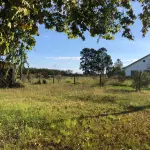 LOTE 001 - 15.000m2 FRENTE BR116 EM GUAIBA - PAVILHÃO E ESTRUTURA PARA  BENEFICIAMENTO DE GRÃOS