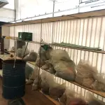 LOTE 244 - Lote de prateleira de metal