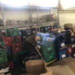 LOTE 024 - lote de caixas plasticas  com navalhas 