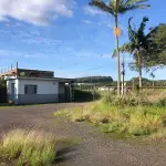 LOTE 001 - 15.000m2 FRENTE BR116 EM GUAIBA - PAVILHÃO E ESTRUTURA PARA  BENEFICIAMENTO DE GRÃOS