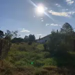 LOTE 001 - 15.000m2 FRENTE BR116 EM GUAIBA - PAVILHÃO E ESTRUTURA PARA  BENEFICIAMENTO DE GRÃOS