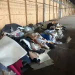 LOTE 246 - Lote com rolos de tecido, sintético, componentes