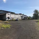 LOTE 001 - 15.000m2 FRENTE BR116 EM GUAIBA - PAVILHÃO E ESTRUTURA PARA  BENEFICIAMENTO DE GRÃOS