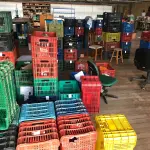 LOTE 130 - Lote de caixas plásticas (todas da fabrica)