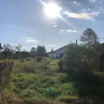 LOTE 001 - 15.000m2 FRENTE BR116 EM GUAIBA - PAVILHÃO E ESTRUTURA PARA  BENEFICIAMENTO DE GRÃOS