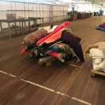 LOTE 246 - Lote com rolos de tecido, sintético, componentes