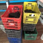 LOTE 130 - Lote de caixas plásticas (todas da fabrica)