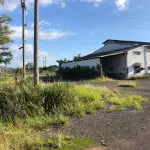 LOTE 001 - 15.000m2 FRENTE BR116 EM GUAIBA - PAVILHÃO E ESTRUTURA PARA  BENEFICIAMENTO DE GRÃOS