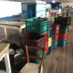 LOTE 130 - Lote de caixas plásticas (todas da fabrica)
