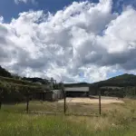 LOTE 000 - Grande Imóvel Urbano na Rod. RS324, KM 28, com área de 50.000m2 localizado na cidade de Nova Araçá