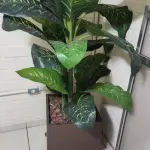 LOTE 141 - 5 VASOS COM PLANTAS