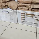 LOTE 113 - LOTE DE CAIXAS PLÁSTICO