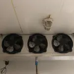 LOTE 246 - CÂMARA FRIA EOS, APROXIMADAMENTE 12m², COM EVAPORADOR MIPAL MI