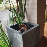 LOTE 141 - 5 VASOS COM PLANTAS