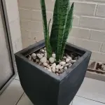 LOTE 141 - 5 VASOS COM PLANTAS