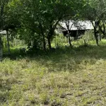 LOTE 000 - imóvel localizado na Av. Antônio Frederico Ozanan nº 1060, B. Brigadeira, em Canoas, c/área do terreno de 30.015,00 m² e áreas construídas de aprox. 11.610,00m²