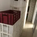 LOTE 245 - 83 CAIXAS PLÁSTICAS AÇOUGUE