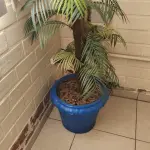 LOTE 141 - 5 VASOS COM PLANTAS