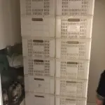 LOTE 245 - 83 CAIXAS PLÁSTICAS AÇOUGUE