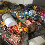 LOTE 001 - Lote com alimentos, bebidas e etc