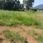 LOTE 001 - UPI DE FABRICA DE TIJOLOS - CERAMICA COMPLETA - CAMINHOES - EMPILHADEIRA -ESCAVADEIRA - SEDE COMPLETA PRODUZINDO - 2 JAZIDAS ATIVAS E COM LICENÇAS - MAIS UM OUTRO IMÓVEL PARA SEDE FUTURA