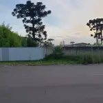 LOTE 000 - O imóvel constituído pela área de 4.816,82metros2, localizado na ¨cidade Industrial de Curitiba