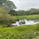 LOTE 000 - SÍTIO COM PISCINA, QUADRAS E SEDE NA ZONA SUL DE POA