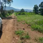 LOTE 001 - UPI DE FABRICA DE TIJOLOS - CERAMICA COMPLETA - CAMINHOES - EMPILHADEIRA -ESCAVADEIRA - SEDE COMPLETA PRODUZINDO - 2 JAZIDAS ATIVAS E COM LICENÇAS - MAIS UM OUTRO IMÓVEL PARA SEDE FUTURA