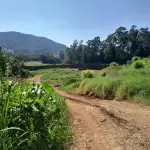 LOTE 001 - UPI DE FABRICA DE TIJOLOS - CERAMICA COMPLETA - CAMINHOES - EMPILHADEIRA -ESCAVADEIRA - SEDE COMPLETA PRODUZINDO - 2 JAZIDAS ATIVAS E COM LICENÇAS - MAIS UM OUTRO IMÓVEL PARA SEDE FUTURA