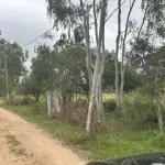 LOTE 000 - SÍTIO COM PISCINA, QUADRAS E SEDE NA ZONA SUL DE POA