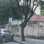LOTE 000 - IMÓVEL NO CORAÇÃO  DE BELO HORIZONTE -14.400M2 BAIRRO LOURDES