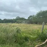 LOTE 000 - SÍTIO COM PISCINA, QUADRAS E SEDE NA ZONA SUL DE POA