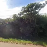 LOTE 000 - Um terreno com área superficial de 1.190m², localizado à Avenida Amadeu Dalbem