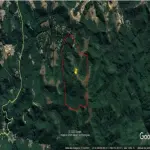 LOTE 001 - GRANDE ÁREA 1.101.671M2 EM CAMPOS DO JORDÃO / SP – COM BASTANTE ÁREA VERDE