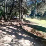 LOTE 001 - GRANDE ÁREA 1.101.671M2 EM CAMPOS DO JORDÃO / SP – COM BASTANTE ÁREA VERDE