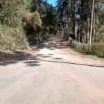 LOTE 001 - GRANDE ÁREA 1.101.671M2 EM CAMPOS DO JORDÃO / SP – COM BASTANTE ÁREA VERDE