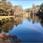 LOTE 001 - GRANDE ÁREA 1.101.671M2 EM CAMPOS DO JORDÃO / SP – COM BASTANTE ÁREA VERDE