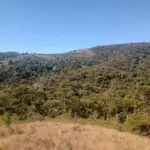 LOTE 001 - GRANDE ÁREA 1.101.671M2 EM CAMPOS DO JORDÃO / SP – COM BASTANTE ÁREA VERDE