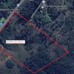 LOTE 002 - Uma área de terras localizada no quarteirão formado pelas Av. Profº Oscar Pereira com 51.237,66m² Matrícula nº 83.034 do Registro de Imóveis da 3ª Zona de Porto Alegre.