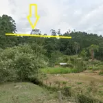 LOTE 000 - Terreno rural situado no lugar Papagaios