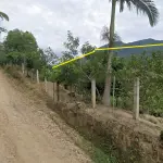 LOTE 000 - Terreno rural situado no lugar Papagaios