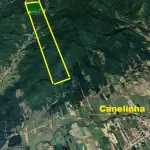 LOTE 000 - Terreno rural situado no lugar Papagaios