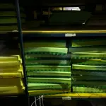 LOTE 007 - Lote de colchoes e mantas massageadoras, lote de espumas e colchões,