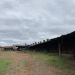 LOTE 002 - Opção de ARREMATAR antecipadamente sem Arrendamento