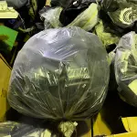 LOTE 007 - Lote de colchoes e mantas massageadoras, lote de espumas e colchões,