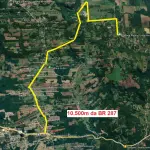 LOTE 005 - Uma área de terras com a superfície de 34.245,43m², sem benfeitorias, com todo o revestimento florestal existente situado no lugar denominado “Linha Nova”, neste distrito e Município de Santa Cruz do Sul/RS,  Matrícula nº 31.604