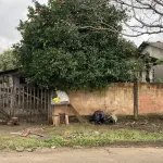 LOTE 086 - Um terreno constituído do lote número seis (6), da quadra número vinte e cinco (25)