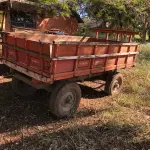 LOTE 034 - Reboque agricula 4 rodas